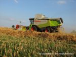 IS DSCF7046 1 150x113 Żniwa 2019 z kombajnami CLAAS w obiektywie Szymona Śpiewaka