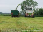 IS DSCF7048 150x113 Zielonka w Kom Rolu 2019 ? Ursusy, DT75 i Claas Jaguar ? FOTO