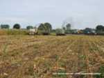 IS DSCF7048 4 150x113 Ursusy i Jaguar vs. 1000 ha kukurydzy w Kom Rolu ? FOTO