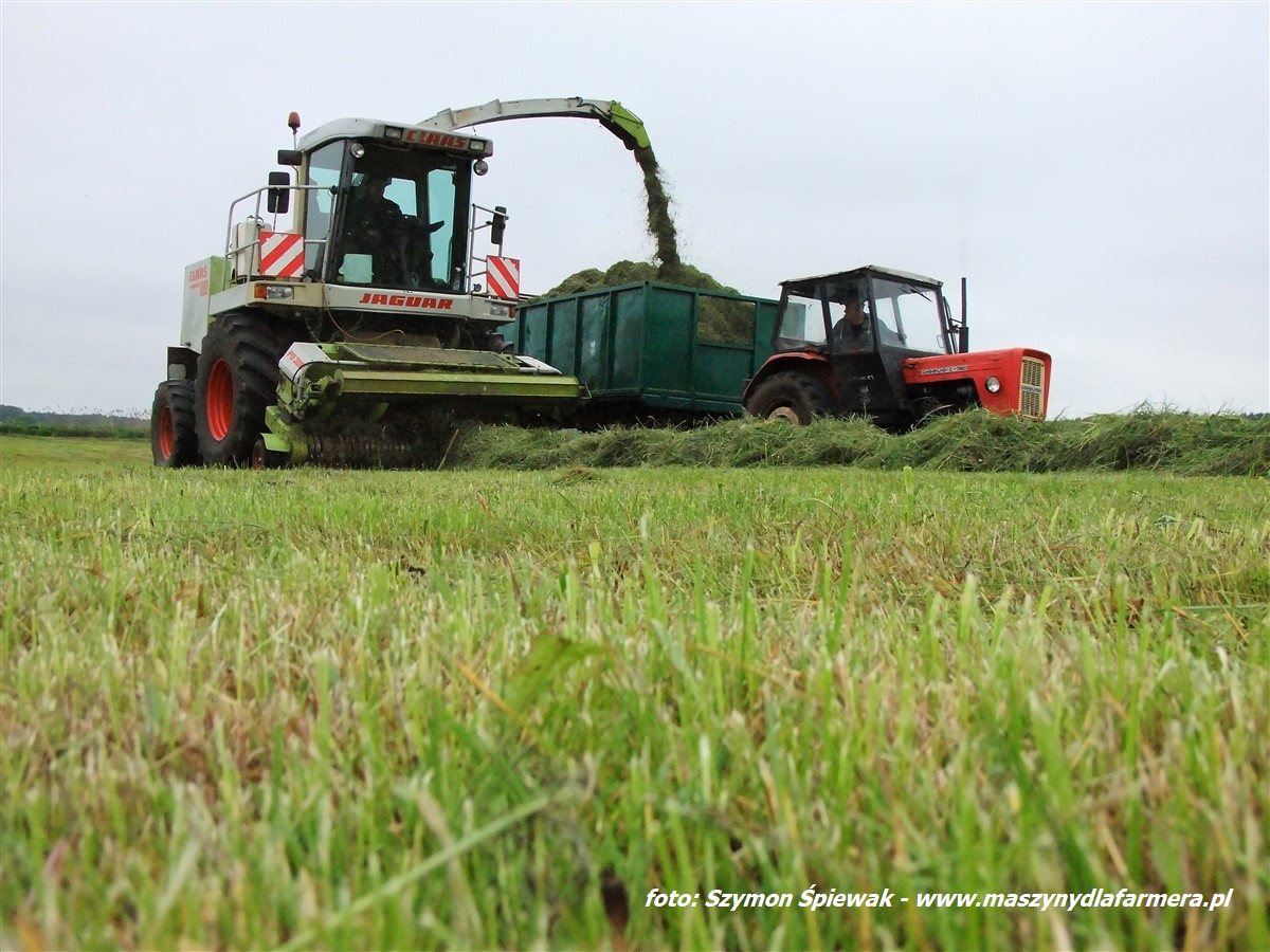 IS DSCF7049 Claas Jaguar 950 ? wydajna bestia dla wymagających   FOTO