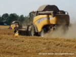 IS DSCF7050 2 150x113 Żniwa 2019   Dwa kombajny New Holland CX 8090 w pszenicy   FOTO