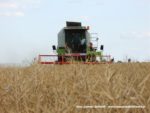 IS DSCF7056 150x113 Żniwa 2019 z kombajnami CLAAS w obiektywie Szymona Śpiewaka