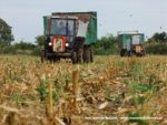 IS DSCF7058 1 150x113 Ursusy i Jaguar vs. 1000 ha kukurydzy w Kom Rolu – FOTO