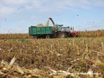 IS DSCF7060 1 150x113 Ursusy i Jaguar vs. 1000 ha kukurydzy w Kom Rolu – FOTO
