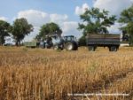 IS DSCF7060 2 150x113 Wielka akcja kukurydza na kiszonkę na Kujawach 2019   FOTO