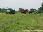 IS DSCF7061 150x113 Zielonka w Kom Rolu 2019 ? Ursusy, DT75 i Claas Jaguar ? FOTO