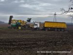 IS DSCF7065 4 150x113 John Deere 6195M I 8400R w akcji! Odbiór buraków na Kujawach ? FOTO