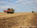 IS DSCF7066 150x113 Żniwa 2019 z kombajnami CLAAS w obiektywie Szymona Śpiewaka