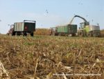 IS DSCF7067 1 150x113 Ursusy i Jaguar vs. 1000 ha kukurydzy w Kom Rolu – FOTO