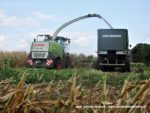 IS DSCF7069 150x113 Wielka akcja kukurydza na kiszonkę na Kujawach 2019   FOTO