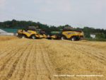 IS DSCF7070 1 150x113 Żniwa 2019   Dwa kombajny New Holland CX 8090 w pszenicy   FOTO