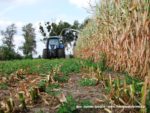 IS DSCF7071 1 150x113 Wielka akcja kukurydza na kiszonkę na Kujawach 2019   FOTO