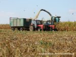 IS DSCF7071 150x113 Ursusy i Jaguar vs. 1000 ha kukurydzy w Kom Rolu ? FOTO