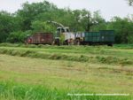 IS DSCF7075 150x113 Zielonka w Kom Rolu 2019 ? Ursusy, DT75 i Claas Jaguar ? FOTO