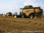 IS DSCF7077 2 150x113 Żniwa 2019   Dwa kombajny New Holland CX 8090 w pszenicy   FOTO