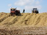 IS DSCF7079 3 150x113 Ursusy i Jaguar vs. 1000 ha kukurydzy w Kom Rolu – FOTO