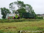 IS DSCF7080 150x113 Zielonka w Kom Rolu 2019 ? Ursusy, DT75 i Claas Jaguar ? FOTO