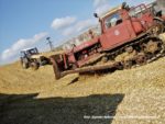 IS DSCF7081 1 150x113 Ursusy i Jaguar vs. 1000 ha kukurydzy w Kom Rolu – FOTO