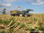 IS DSCF7082 2 150x113 Wielka akcja kukurydza na kiszonkę na Kujawach 2019   FOTO