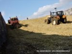 IS DSCF7083 1 150x113 Ursusy i Jaguar vs. 1000 ha kukurydzy w Kom Rolu – FOTO