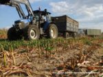 IS DSCF7084 3 150x113 Wielka akcja kukurydza na kiszonkę na Kujawach 2019   FOTO