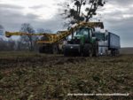 IS DSCF7085 4 150x113 John Deere 6195M I 8400R w akcji! Odbiór buraków na Kujawach ? FOTO