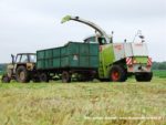 IS DSCF7086 150x113 Zielonka w Kom Rolu 2019 ? Ursusy, DT75 i Claas Jaguar ? FOTO