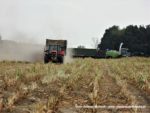 IS DSCF7087 150x113 Wielka akcja kukurydza na kiszonkę na Kujawach 2019   FOTO