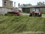 IS DSCF7088 150x113 Zielonka w Kom Rolu 2019 ? Ursusy, DT75 i Claas Jaguar ? FOTO