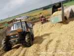 IS DSCF7088 2 150x113 Ursusy i Jaguar vs. 1000 ha kukurydzy w Kom Rolu – FOTO