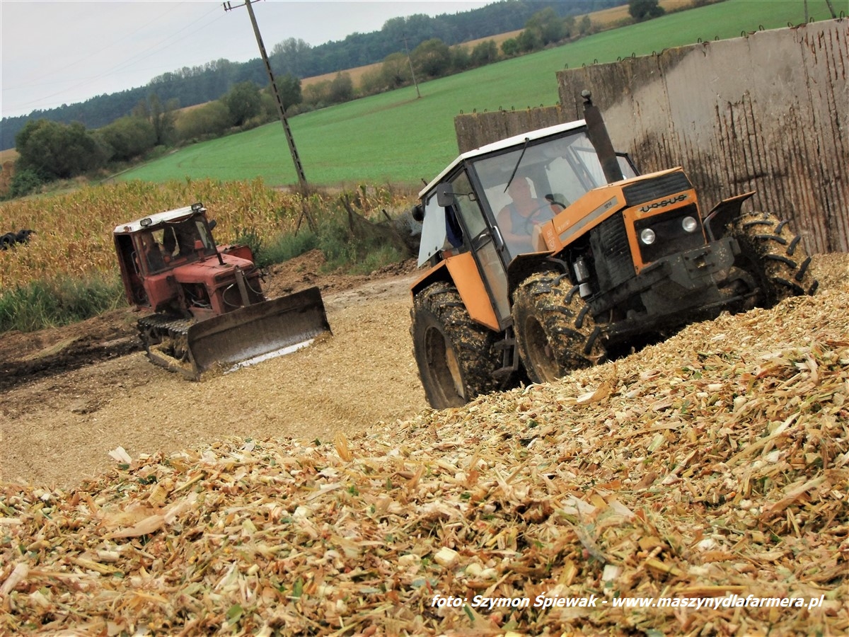 IS DSCF7089 1 Zielonka w Kom Rolu 2019 – Ursusy, DT75 i Claas Jaguar – FOTO