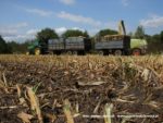 IS DSCF7092 1 150x113 Wielka akcja kukurydza na kiszonkę na Kujawach 2019   FOTO
