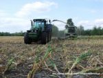 IS DSCF7096 1 150x113 Wielka akcja kukurydza na kiszonkę na Kujawach 2019   FOTO