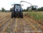 IS DSCF7104 150x113 Wielka akcja kukurydza na kiszonkę na Kujawach 2019   FOTO