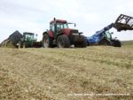 IS DSCF7106 1 150x113 Wielka akcja kukurydza na kiszonkę na Kujawach 2019   FOTO