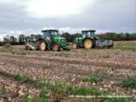 IS DSCF7108 150x113 Zbiór cebuli 2019   w polu ciągniki John Deere i New Holland   FOTO