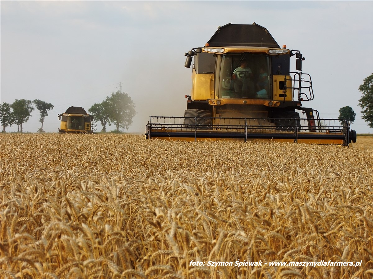 IS DSCF7110 Żniwa 2019   5 kombajnów w polu, John Deere i New Holland   FOTO