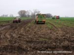 IS DSCF7111 1 150x113 Kombajn Dewulf i 4x John Deere w marchewce   FOTO