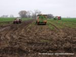 IS DSCF7111 1 150x113 Kombajn Dewulf i 4x John Deere w marchewce   FOTO