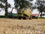 IS DSCF7119 150x113 Żniwa 2019 z kombajnami CLAAS w obiektywie Szymona Śpiewaka