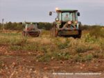 IS DSCF7127 1 150x113 Zbiór cebuli 2019   w polu ciągniki John Deere i New Holland   FOTO