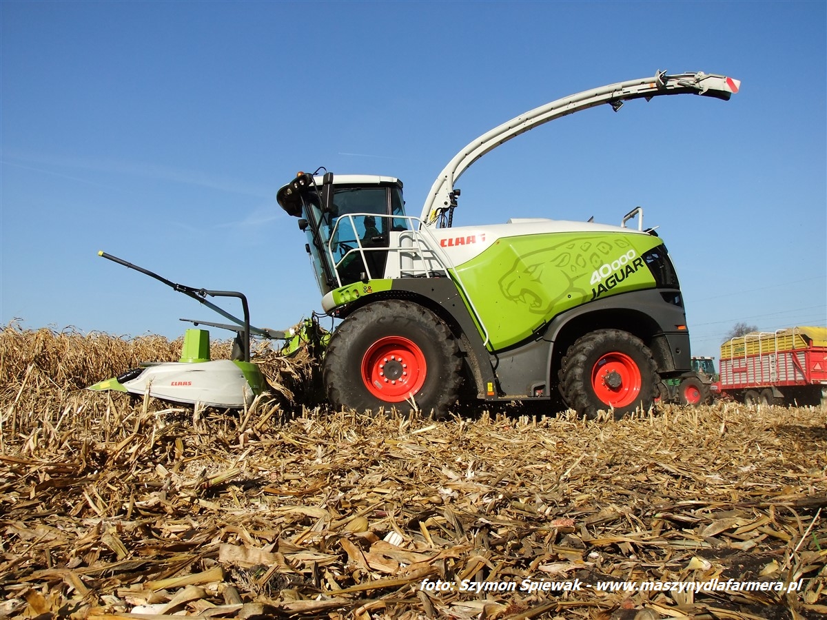 IS DSCF7138 1 Zielone żniwa z maszynami Fendt ? Minikowo 2018   FOTO