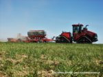 IS DSCF8274 150x113 Kolos w CGFP   Case IH Quadtrac 620 z zestawem do uprawy pasowej Horsch   FOTORELACJA