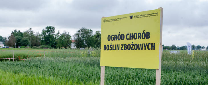 Choroby zboz kolekcja UTP Bydgoszcz Narzędzia Knipex w mini rozmiarze
