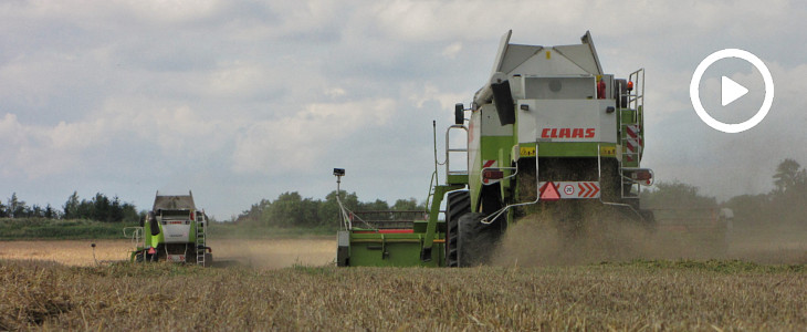 Claas Lexion Kom Rol żniwa2020 film Żniwa 2020 w Kom Rol: Claas Lexion 480, 580 i Ursusy w akcji   VIDEO