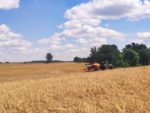 IMG 20200717 WA0008 150x113 CLAAS LEXION 6800 w jęczmieniu   pokazy w Agro Land   FOTO