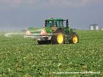 IS DSCF7060 150x113 Nawozy 2020   John Deere 6155M + Amazone ZA M 1801   FOTO
