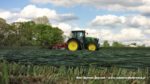 IS IMG 0011 150x84 Żyto na kiszonkę   John Deere 6110 RC z zgrabiarką Lely Hibiscus (FOTO)