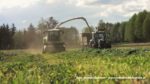 IS IMG 0022 150x84 Żyto na kiszonkę   Claas Jaguar 950, John Deere 7830, New Holland T8.360, TM120 ? FOTO