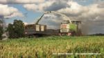 IS IMG 0025 150x84 Żyto na kiszonkę   Claas Jaguar 950, John Deere 7830, New Holland T8.360, TM120 ? FOTO